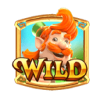 สัญลักษณ์ Wild