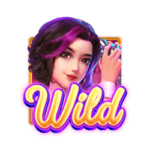 สัญลักษณ์ Wild