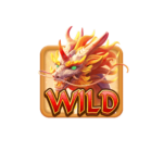 
Wild Symbol