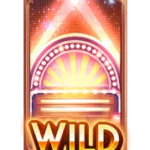 สัญลักษณ์ Wild B