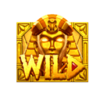 สัญยลักษณ์ Wild