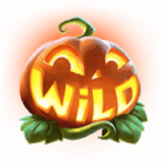 สัญลักษณ์ Wild