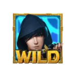  สัญลักษณ์ Wild