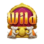 สัญลักษณ์ Wild