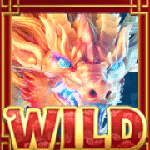 สัญลักษณ์ Wild