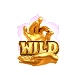 สัญลักษณ์ Wild