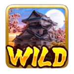 สัญลักษณ์ Wild