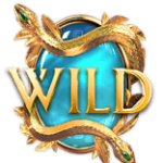 สัญลักษณ์ Wild