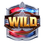 สัญลักษณ์ Wild