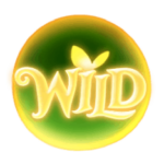 สัญลักษณ์ Wild