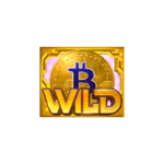 Wild Symbol