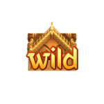 Wild Symbol