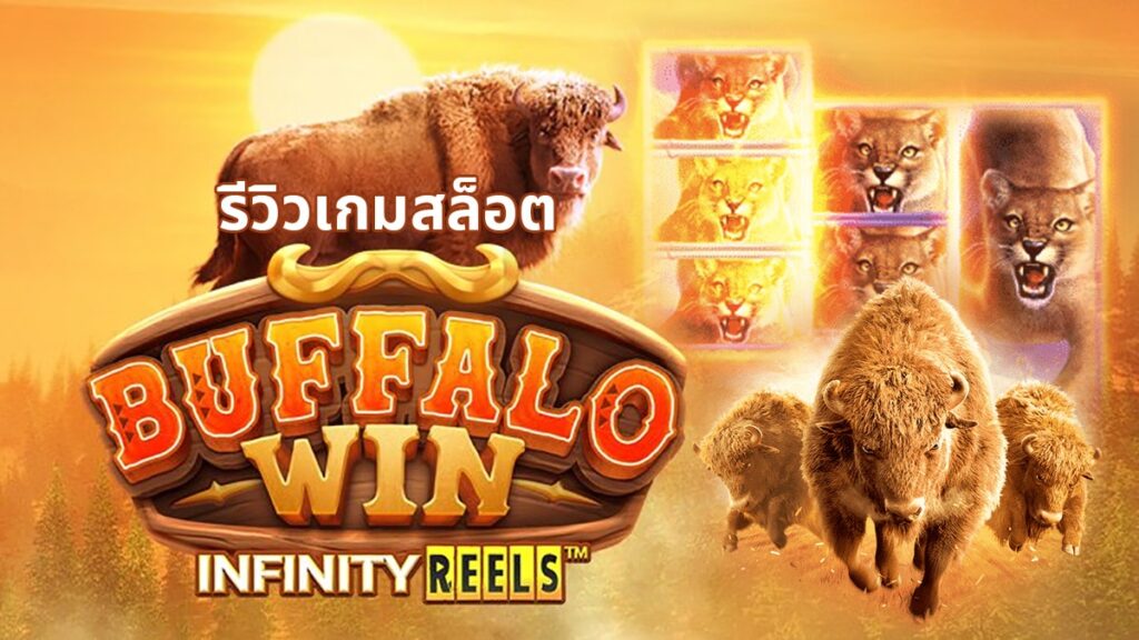 Buffalo Win ราชาวัวกระทิง สล็อต เว็บตรง