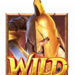 สัญลักษณ์ Wild