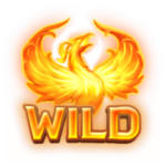 สัญลักษณ์พิเศษ wild