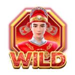 สัญลักษณ์ Wild