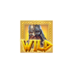 สัญลักษณ์ WILD