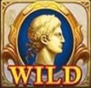 สัญลักษณ์ Wild