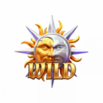 สัญลักษณ์ Wild