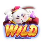 สัญลักษณ์ WILD