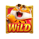 สัญลักษณ์ wild