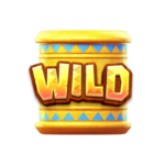 สัญลักษณ์ WILD