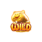 สัญลักษณ์ Wild