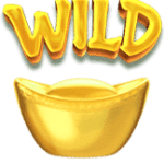 สัญลักษณ์ WILD