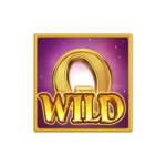 สัญลักษณ์ WILD