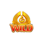 สัญลักษณ์ WILD