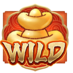 สัญลักษณ์ Wild