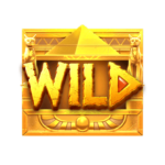 สัญลักษณ์พิเศษ wild