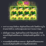 สัญลักษณ์พิเศษ