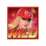 สัญลักษณ์พิเศษ wild