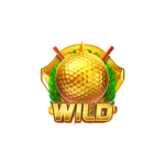 สัญลักษณ์ WILD