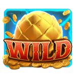 สัญลักษณ์ Wild