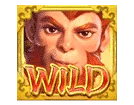 สัญลักษณ์ Wild